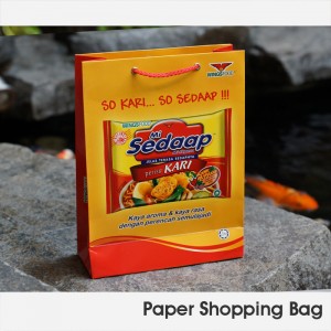 Wings-PaperBag2